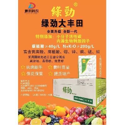 绿劲大丰田2