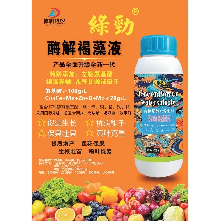 酶解褐藻液
