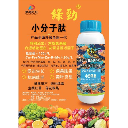 小分子肽