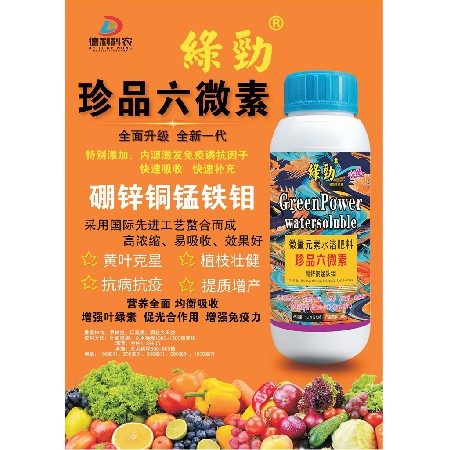 珍品六微素